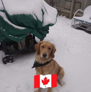 Meet your Posher, Penny